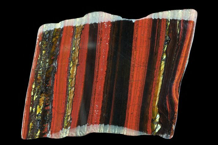 Polished Tiger Iron Stromatolite - ( Billion Years) #75826